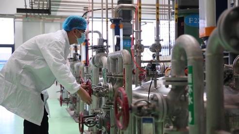 責(zé)任民企顯擔(dān)當(dāng)，靠上服務(wù)助復(fù)產(chǎn)——泰安生物技術(shù)企業(yè)馳援抗疫一線